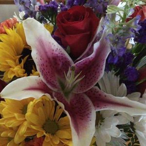 Meet your Posher, Allison